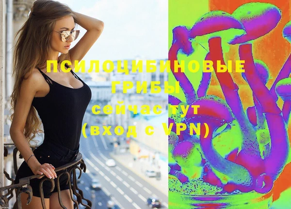 твердый Алексеевка