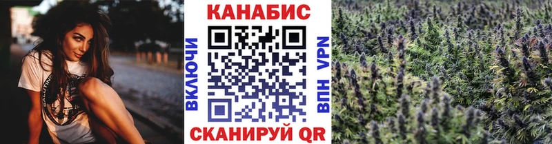 Бошки Шишки семена  где купить   Вилючинск 